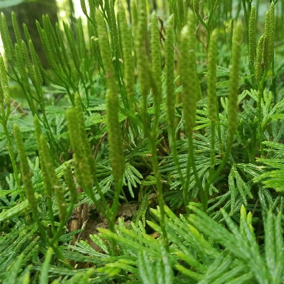 Everything i Can - Picture 7 of 15